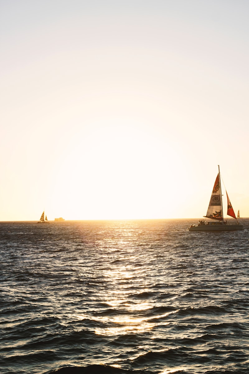 Sunset Dinner Cruises in Hawaii: The Ultimate Parents' Night Out
