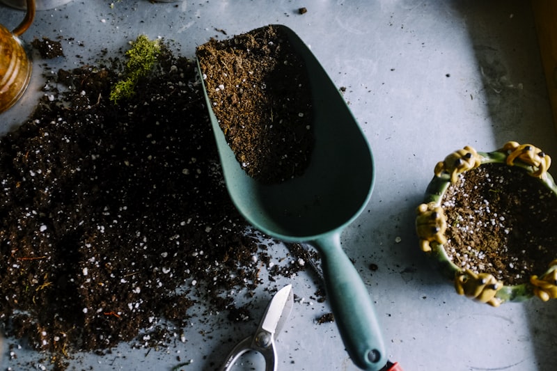 Hawaii Gardening Essentials: Growing a Tropical Paradise in Your Backyard