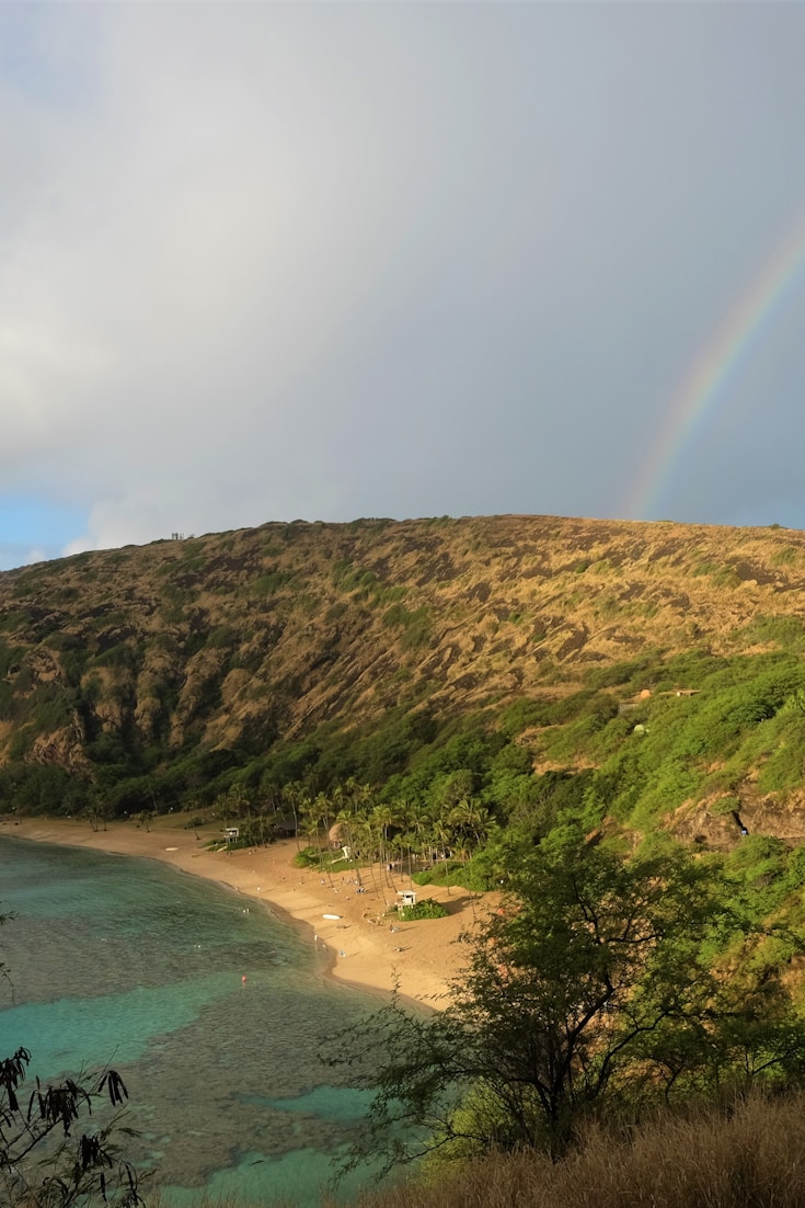 Oahu with Kids: Honolulu, North Shore, and Everything In Between - Pin this guide
