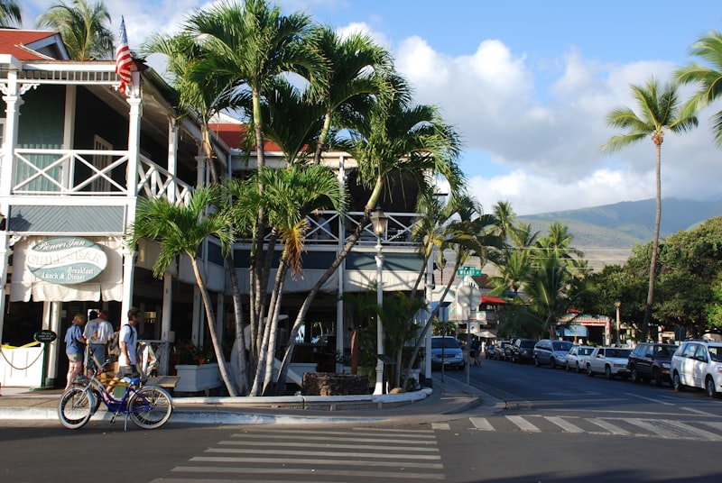Biking down a palm-tree-lined street in Hawaii, everyday island life