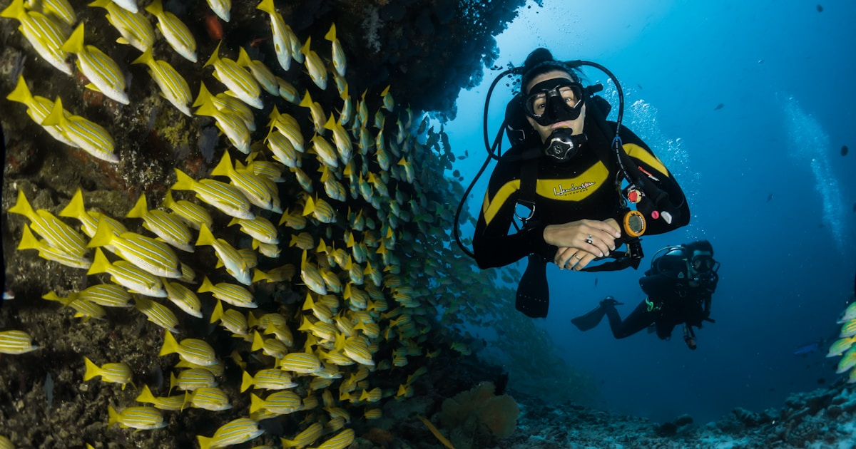 The Best Tide Pools in Hawaii for Kids: A Local Mom's Guide to Nature's Free Aquariums