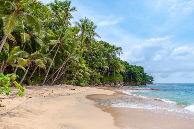 North Shore Oahu with Kids: Surf Culture, Shrimp Trucks, and Sea Turtles